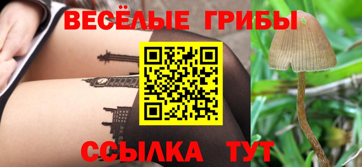 Донской  хочу   Вход с VPN  Псилоцибиновые грибы Cubensis 